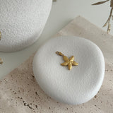 PRETTY SEASTAR ~ CHARM