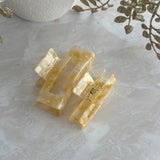FRUITY SET ~ ACETATE HAIRCLIP