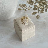 SHELL ~ RING