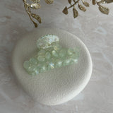 GLORY ~ ACETATE HAIRCLIP